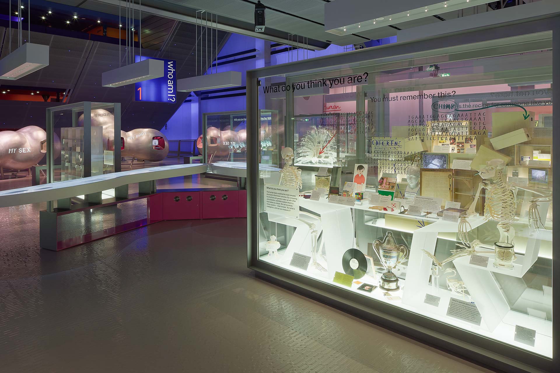 Science Museum Parkeray