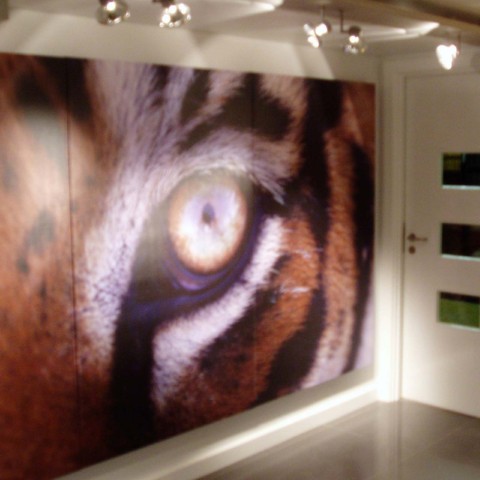 London Zoo | Regents Park