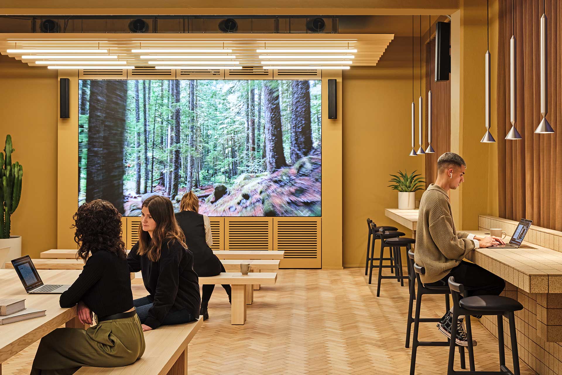 TOG (The Office Group) | Douglas House